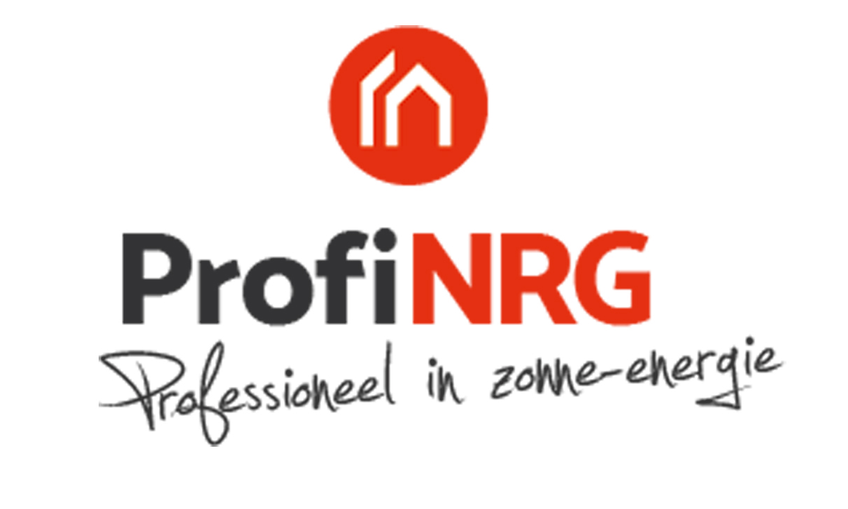 Logo ProfiNRG