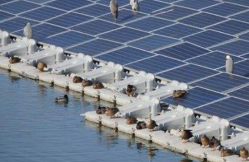 Birds resting on solar panels