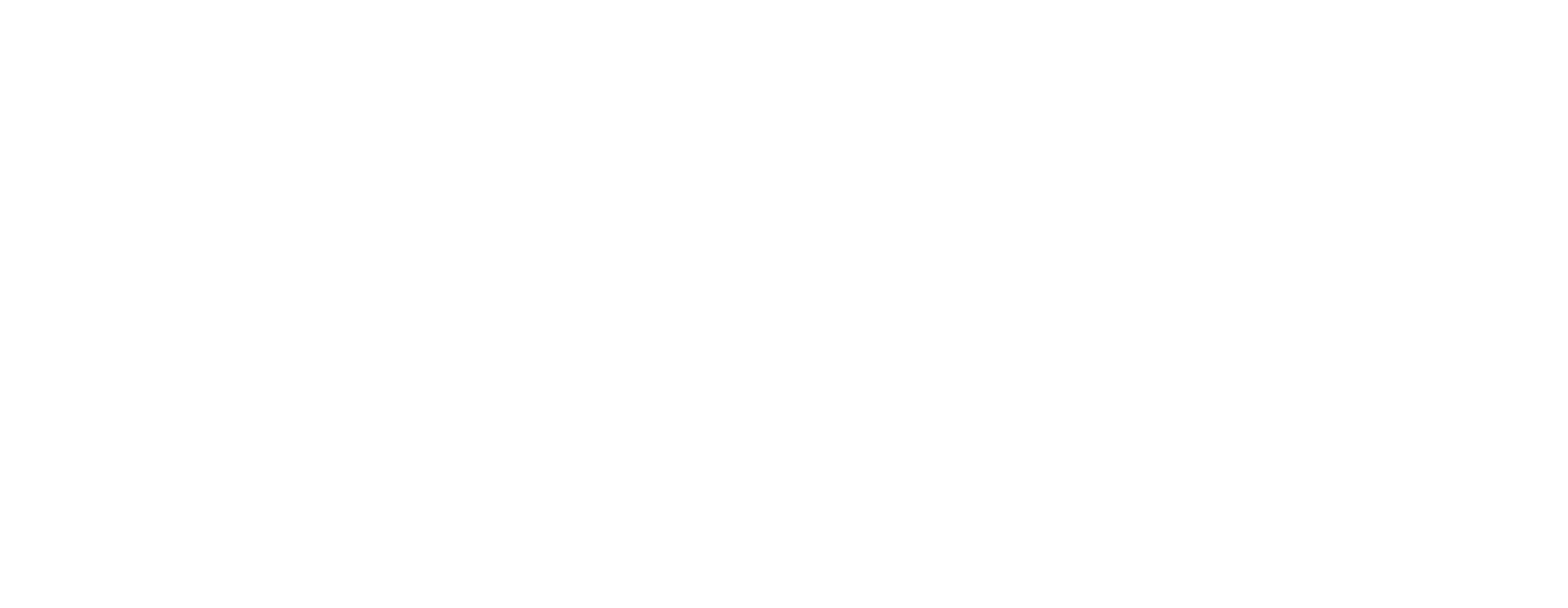 Sunvest France logo blanc