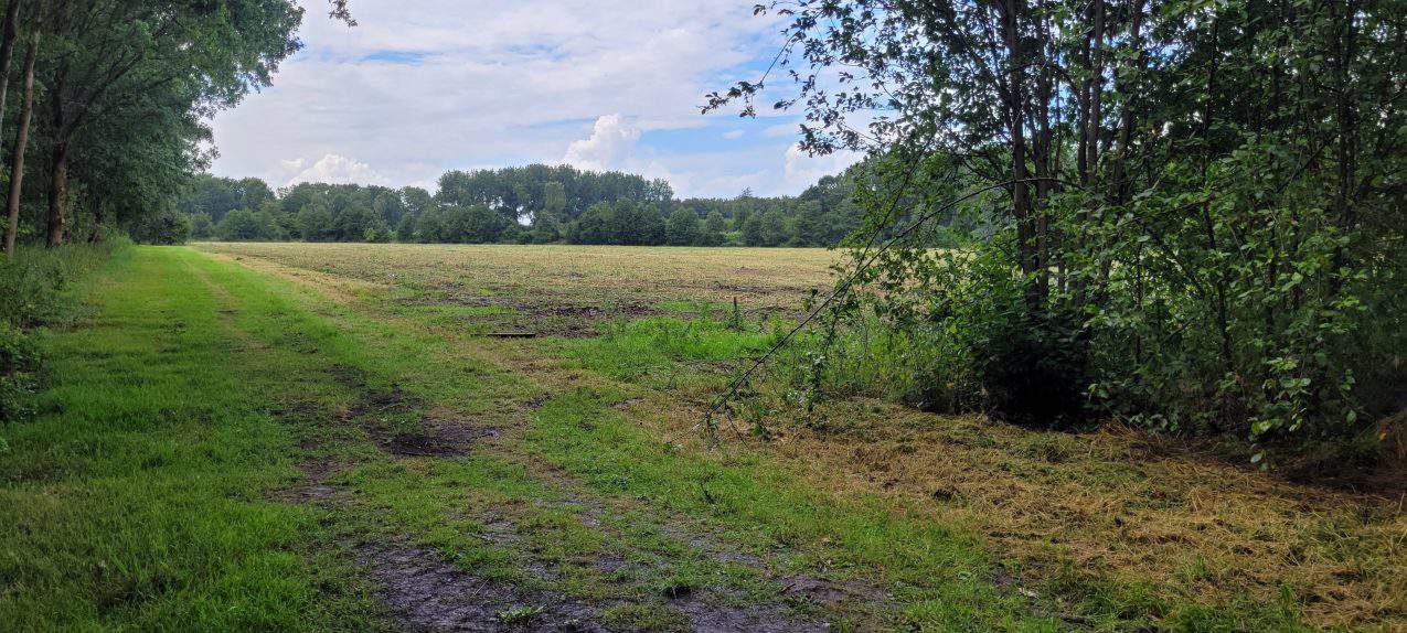 Début de la construction du parc photovoltaïque de Zonnewoud aux Pays-Bas