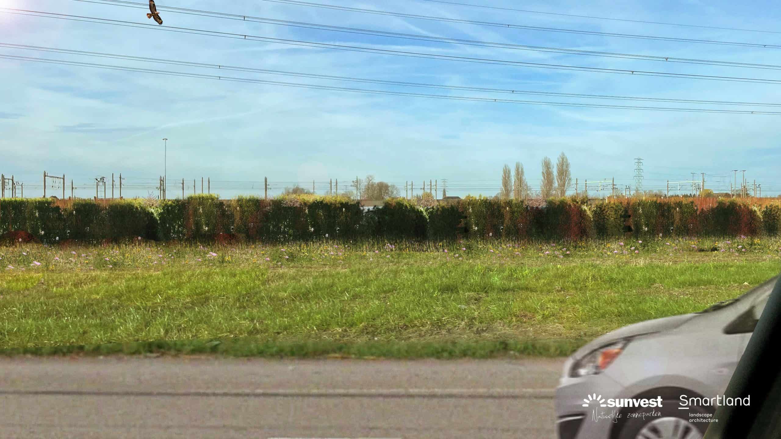 Une haie paysagère pour le parc solaire d’Overbetuwe